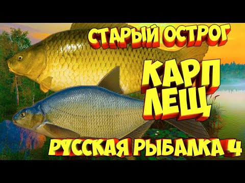 Видео: Воскресный   Стрим :  Русской  Рыбалке  4!!!