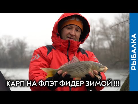 Видео: Фидер или ФЛЭТ? Ловим карпа зимой (часть 2)