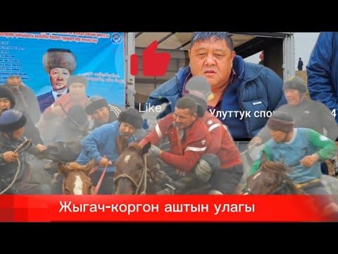 Видео: Жыгач-коргон аштын улагы
