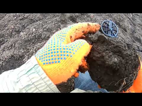 Видео: Minelab Manticore.Пока ещё не понятный зверёк.