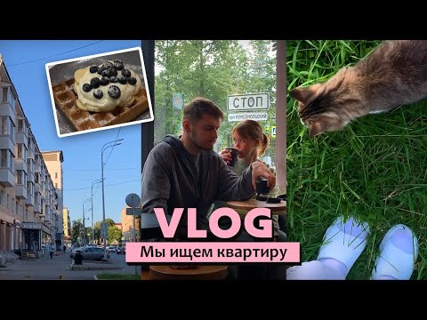 Видео: 19; МЫ ИЩЕМ КВАРТИРУ: радость и разочарование  | вечер на даче 🏡