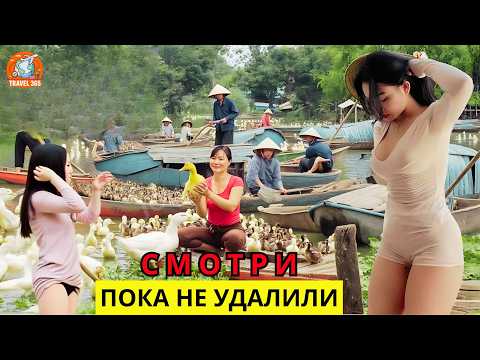 Видео: САМАЯ «ГРЕХОВНАЯ» СТРАНА? Шокирующая ежедневная реальность в ВЬЕТНАМ! – Документальный фильм
