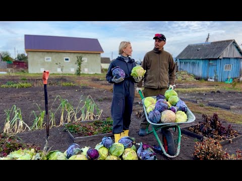 Видео: ЖИЗНЬ СЕМЬИ В СЕЛЕ/ХОЗЯЙСТВО/ТЕПЛИЦА/ОГОРОД И ОКНА В ПТИЧНИК