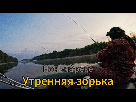 Видео: РЫБАЛКА на ЗОРЬКЕ! Ночую на реке.