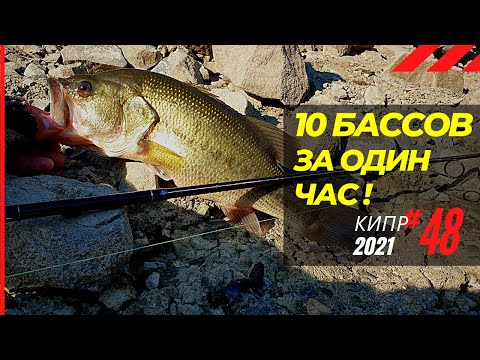 Видео: 10 бассов за 1 час! 🔥 Рыбалка на Кипре 🇨🇾 Часть 48 Сезон 2021