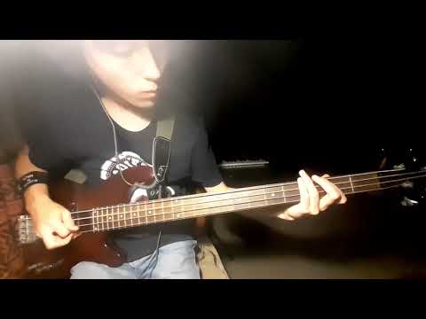 Видео: Король и Шут - Садовник (bass cover)