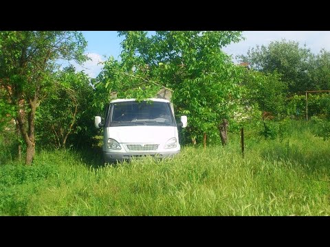 Видео: Оживление брошенной Газели. Долгожданная встреча