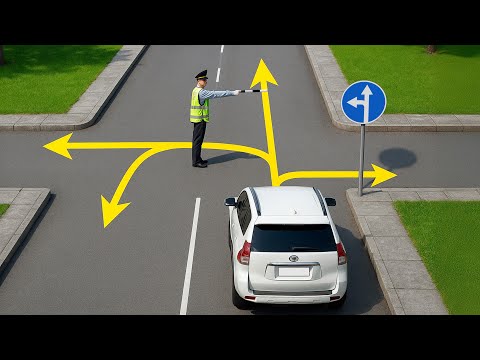 Видео: Куда разрешено проехать водителю белого внедорожника?