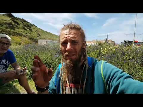 Видео: Холодильник в кемпере "автодоме", не работает от 220 вольт.