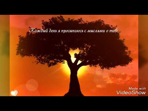 Видео: Солнышко я люблю тебя любимая моя