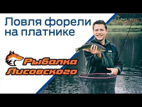 Видео: Ловля форели на платнике