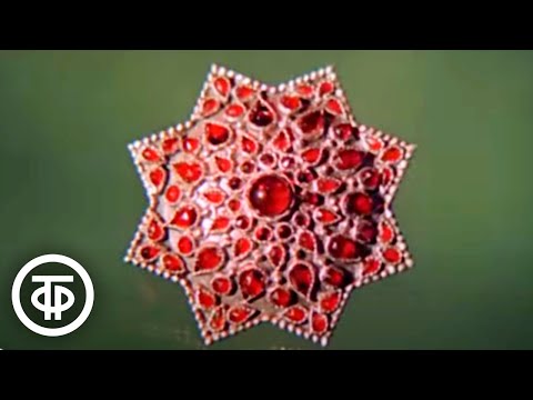 Видео: Лицо камня. Фильм о природной красоте уральских камней-самоцветов (1970)
