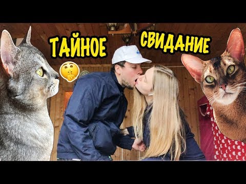 Видео: КОТЫ СОРВАЛИ ТАЙНОЕ СВИДАНИЕ МАМЫ С ПАРНЕМ! ЧТО СКАЖЕТ ПАПА?