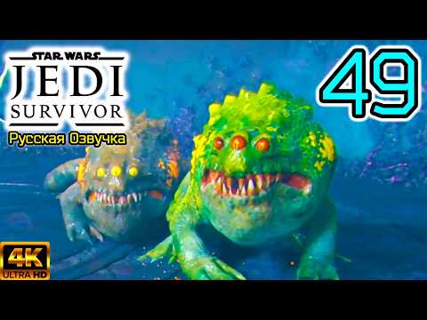 Видео: STAR WARS Jedi Survivor ▣ Теперь две Жабы ➥ 49