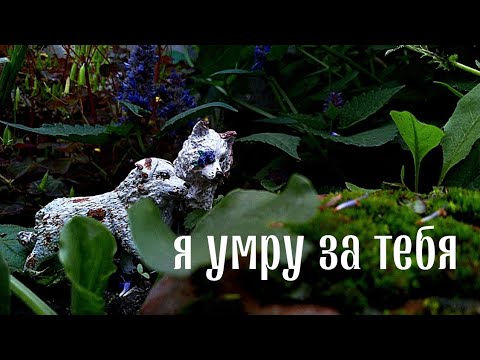Видео: Шляйх фильм "Я умру за тебя"