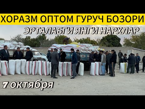 Видео: ХОРАЗМ ОПТОМ ГУРУЧ БОЗОР НАРХЛАРИ 