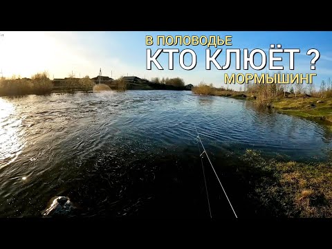 Видео: Мормышинг. Половодье.  Кто КЛЮЁТ?