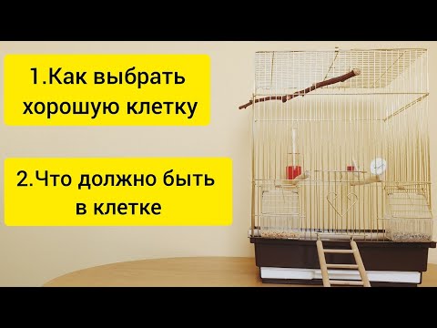 Видео: Что должно быть в клетке у попугая || Как выбрать клетку для попугая