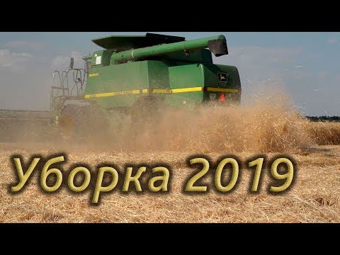 Видео: Уборка пшеницы 2019! комбайн John Deere.