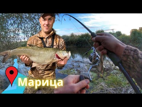 Видео: 🐟Брутални распери по Марица / Asp fishing Maritza river🐟