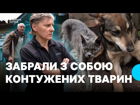 Видео: Вивезла 12 тварин із-під обстрілів родина з Грем’яча на Чернігівщині