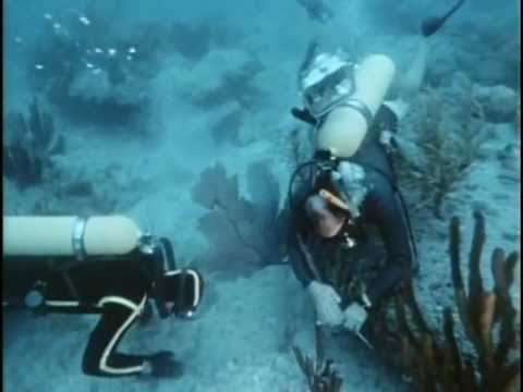Видео: 15 - Одиссея Жака Кусто -  Калипсо ищет Атлантиду 1