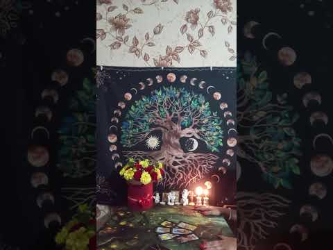 Видео: 🧚‍♀️ТАРО ДЛЯ МУЖЧИН.Перемены в вашей жизни в сентябре#мысличувствадействия #мыслимужчинытаро 🧚‍♀️