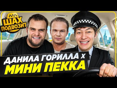 Видео: ШАХ ПОДВОЗИТ ГОРИЛЫЧА И МИНИ ПЕККУ ( моя настоящая работа )