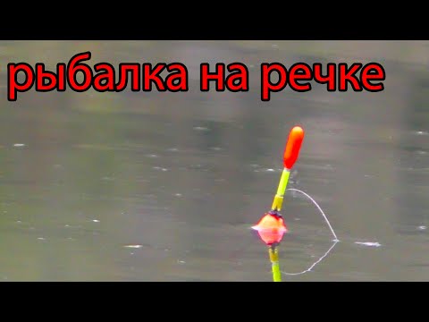Видео: Рыбалка на поплавок  сентябрь 2022 на речке . середина сентября.