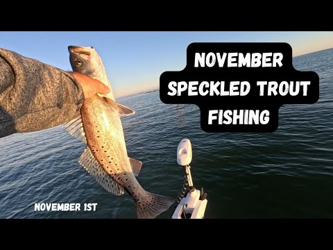 Видео: Ловля крапчатой ​​форели на побережье Мексиканского залива в ноябре
