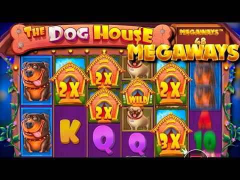 Видео: СЛОВИЛ 4 ЛАПЫ И ВЫИГРАЛ Х1150 ПО ОГРОМНОЙ СТАВКЕ В THE DOG HOUSE MEGAWAYS // ЭТО ЖЕСТЬ !!!