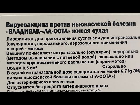 Видео: Вакцинация кур от Ньюкасла# метод выпойки легко#