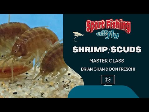 Видео: Мастер-класс по ловле рыбы нахлыстом на креветок и бокоплавов с Брайаном Чаном и Доном Фрески