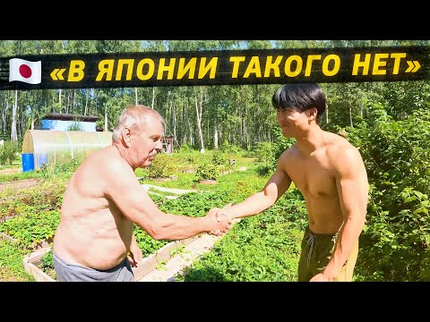 Видео: Японец впервые на даче. Культурный шок, шашлыки, рыбалка и грибы