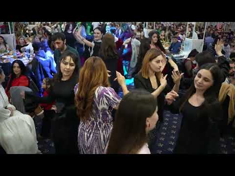 Видео: КОНЦЕРТ АЛИМ ХУДОБЕРДИ 2025