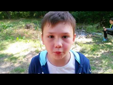 Видео: Выживание....