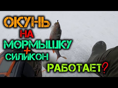 Видео: Окунь на мормышку с силиконом! Зимняя рыбалка.