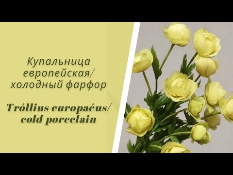 Видео: Купальница/холодный фарфор/жарки/простой способ/для начинающих/Trollius europaeus/cold porcelain