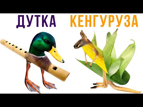 Видео: Приколы для СВЕРХРАЗУМОВ!) Гы-гы))) | Мемозг 667