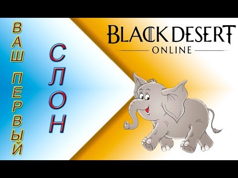 Видео: Black Desert online.Как получить слоника!