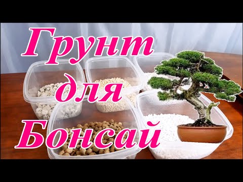 Видео: Грунт для Бонсай