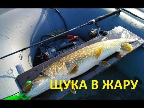 Видео: Ловля щуки в жару