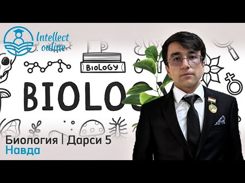 Видео: Биология | Навда | Урок 5