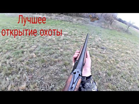 Видео: Открытие охоты 2022-2023. Шакал, лисы, зайцы, фазаны. Самое удачное открытие!!!