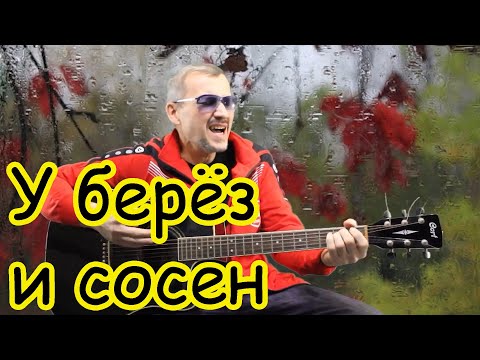 Видео: Спел от души "У БЕРЕЗ И СОСЕН" под гитару