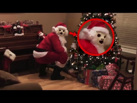 Видео: УЖАСЯВАЩИ НЕЩА, КОИТО СА СЕ СЛУЧИЛИ ПО КОЛЕДА!