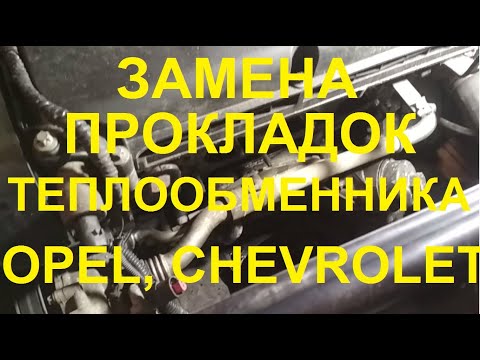 Видео: Потёк ТЕПЛООБМЕННИК Opel Zafira Z18XER !!! Меняем прокладки.