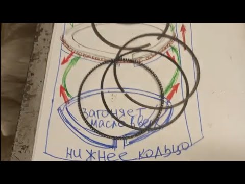 Видео: Поршневые  кольца. Как правильно собрать маслосъёмные кольца на поршень.