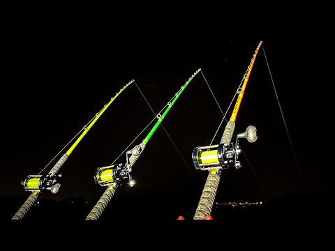 Видео: Мы обновили снаряжение и отправились на охоту на монстров под плотиной! (Поймали большую рыбу)