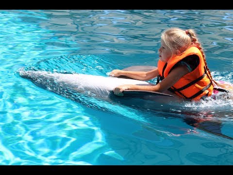 Видео: Настёна и Есения купаются с ДЕЛЬФИНАМИ/ Swimming with dolphins